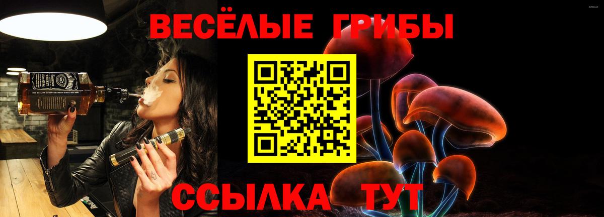 Галлюциногенные грибы GOLDEN TEACHER  Вход с VPN  Магнитогорск  Галлюциногенные грибы Magic Shrooms 